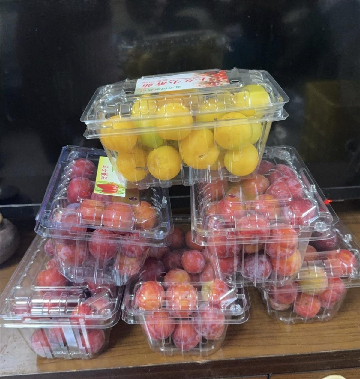 允元茶業,阿里山好吃的李子已進入尾聲